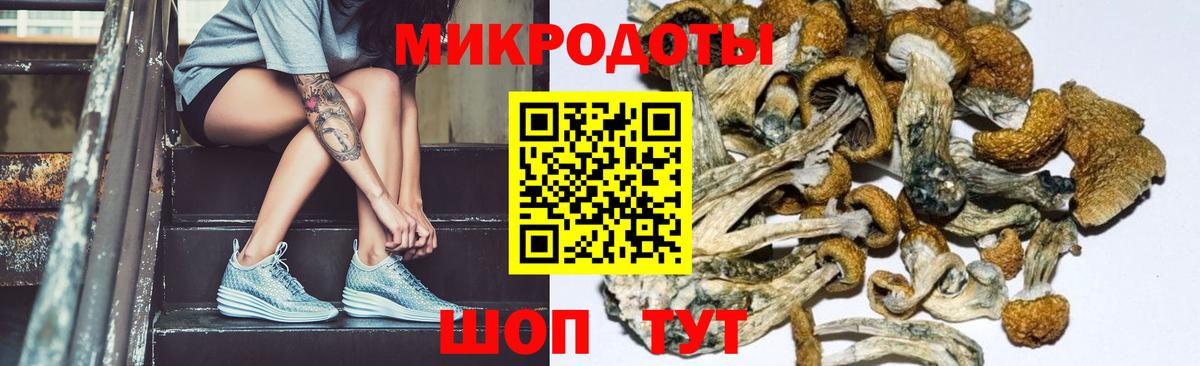 Псилоцибиновые грибы мухоморы  Галлюциногенные грибы Psilocybe  Вход с VPN  Реутов 