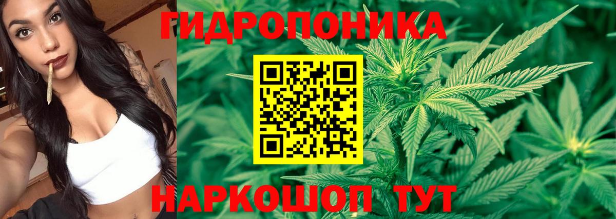 Бошки Шишки Amnesia  Вход с VPN  Реутов  Бошки Шишки тримм 